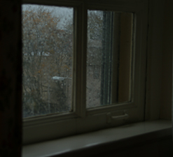 Room Bound on a Rainy Day